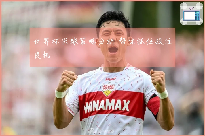 世界杯买球策略分析 帮你抓住投注良机