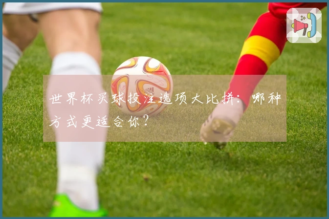 世界杯买球投注选项大比拼:哪种方式更适合你?