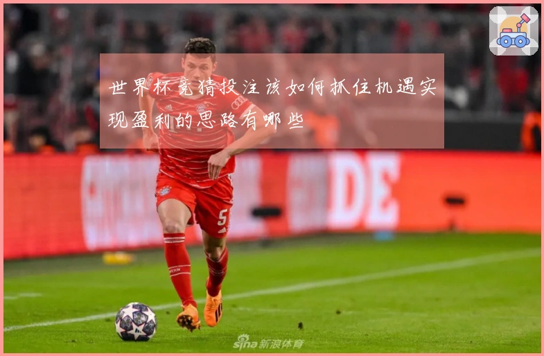 世界杯竞猜投注该如何抓住机遇实现盈利的思路有哪些