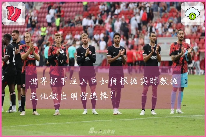 世界杯下注入口如何根据实时数据变化做出明智选择？