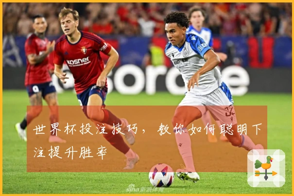 世界杯投注技巧，教你如何聪明下注提升胜率