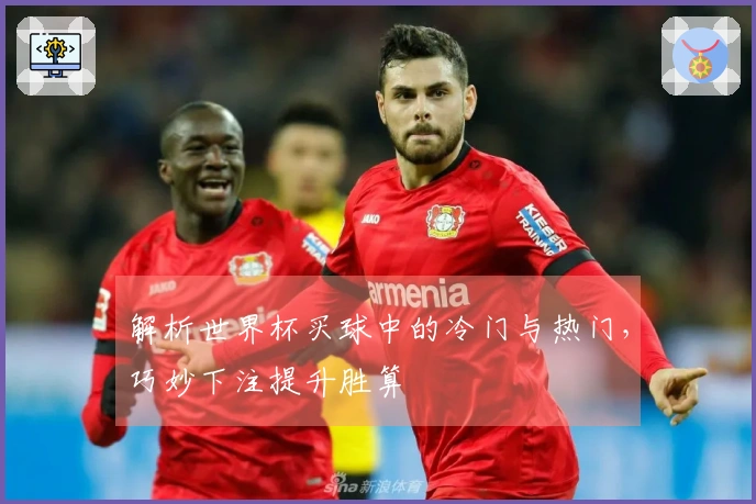解析世界杯买球中的冷门与热门，巧妙下注提升胜算