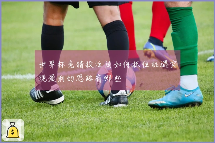 世界杯竞猜投注该如何抓住机遇实现盈利的思路有哪些
