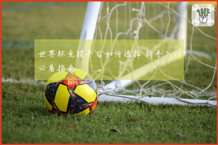 世界杯竞猜平台如何选择 新手入门必看指南
