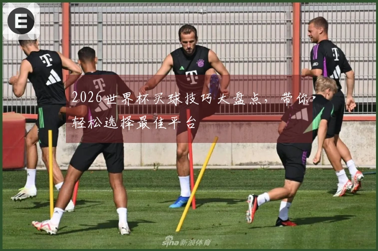 2026世界杯买球技巧大盘点，带你轻松选择最佳平台