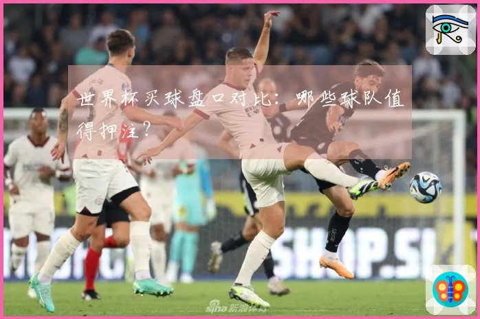 世界杯买球盘口对比:哪些球队值得押注?