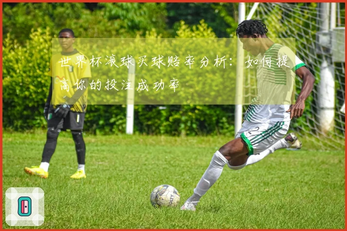 世界杯滚球买球赔率分析：如何提高你的投注成功率