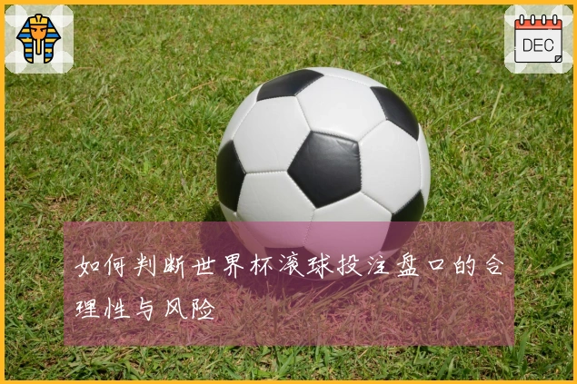 如何判断世界杯滚球投注盘口的合理性与风险