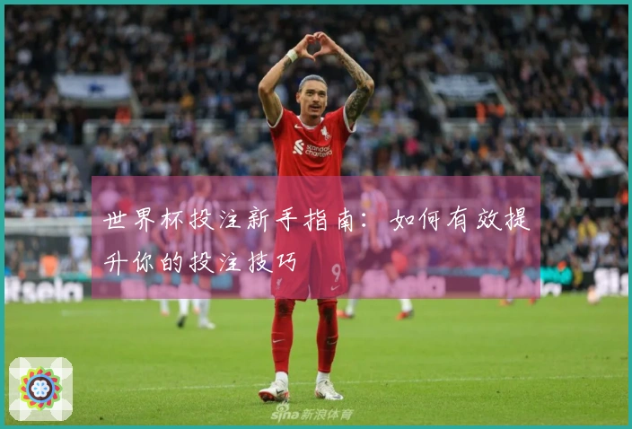 世界杯投注新手指南：如何有效提升你的投注技巧