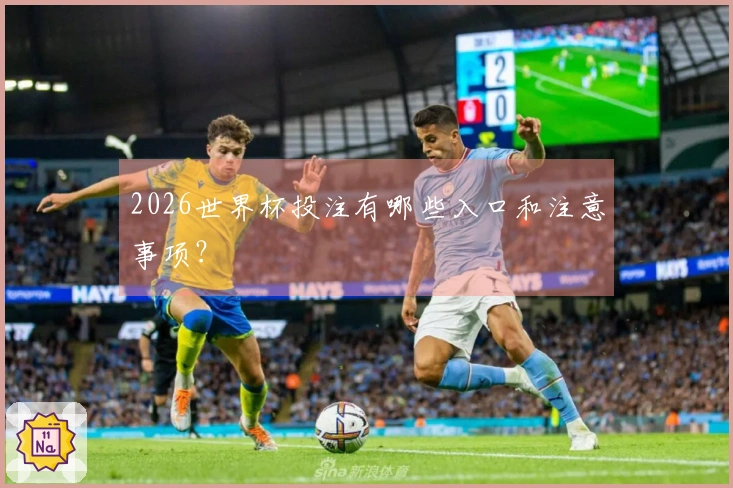 2026世界杯投注有哪些入口和注意事项？