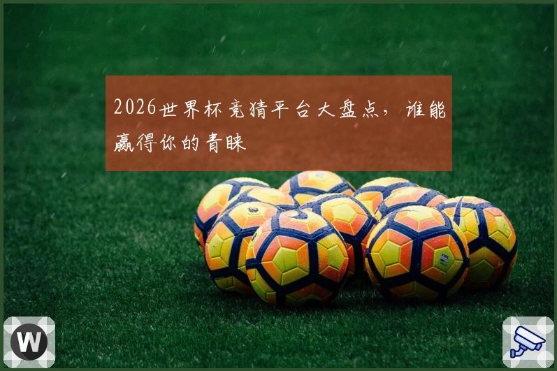 2026世界杯竞猜平台大盘点，谁能赢得你的青睐