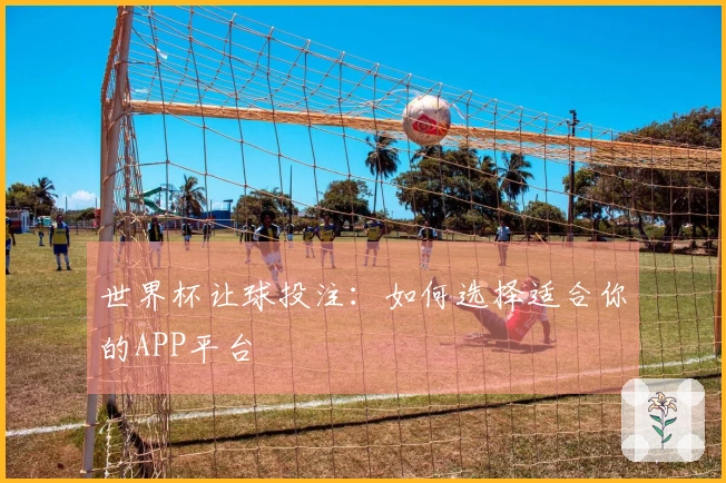世界杯让球投注：如何选择适合你的APP平台