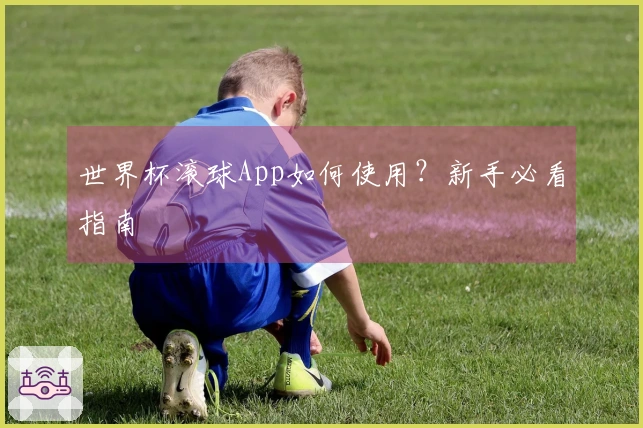 世界杯滚球App如何使用？新手必看指南
