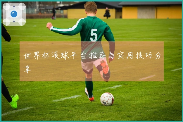 世界杯滚球平台推荐与实用技巧分享