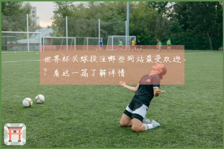 世界杯买球投注哪些网站最受欢迎？看这一篇了解详情