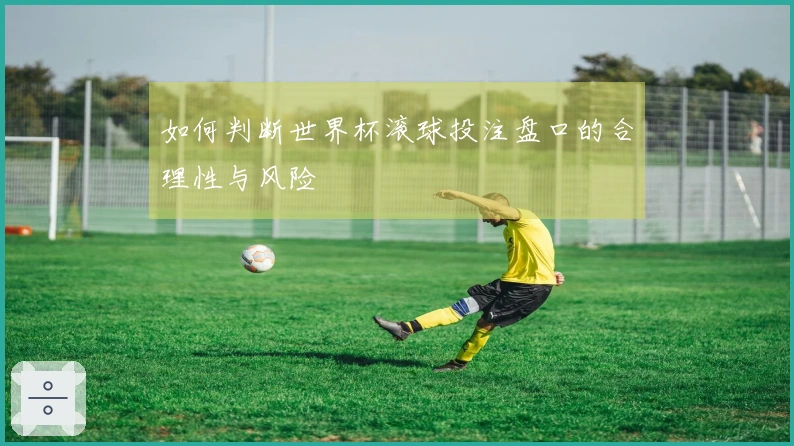 如何判断世界杯滚球投注盘口的合理性与风险