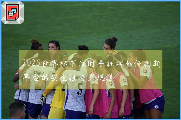 2026世界杯下注时手机端如何判断平台的安全性与正规性