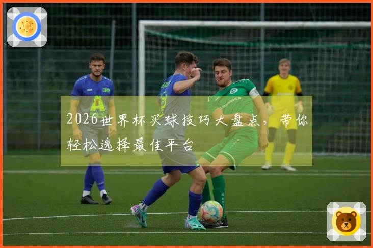 2026世界杯买球技巧大盘点，带你轻松选择最佳平台